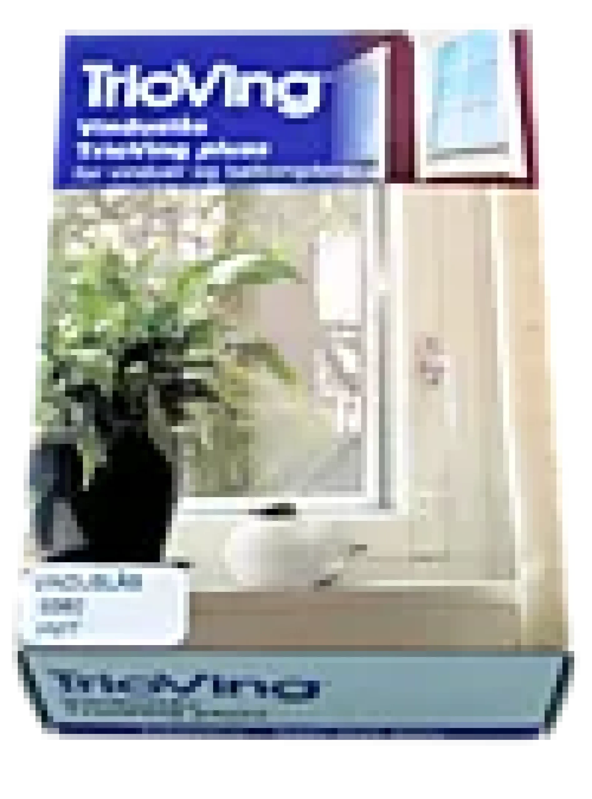 VINDUSLÅS TV 3380 SV-Assa abloy Online