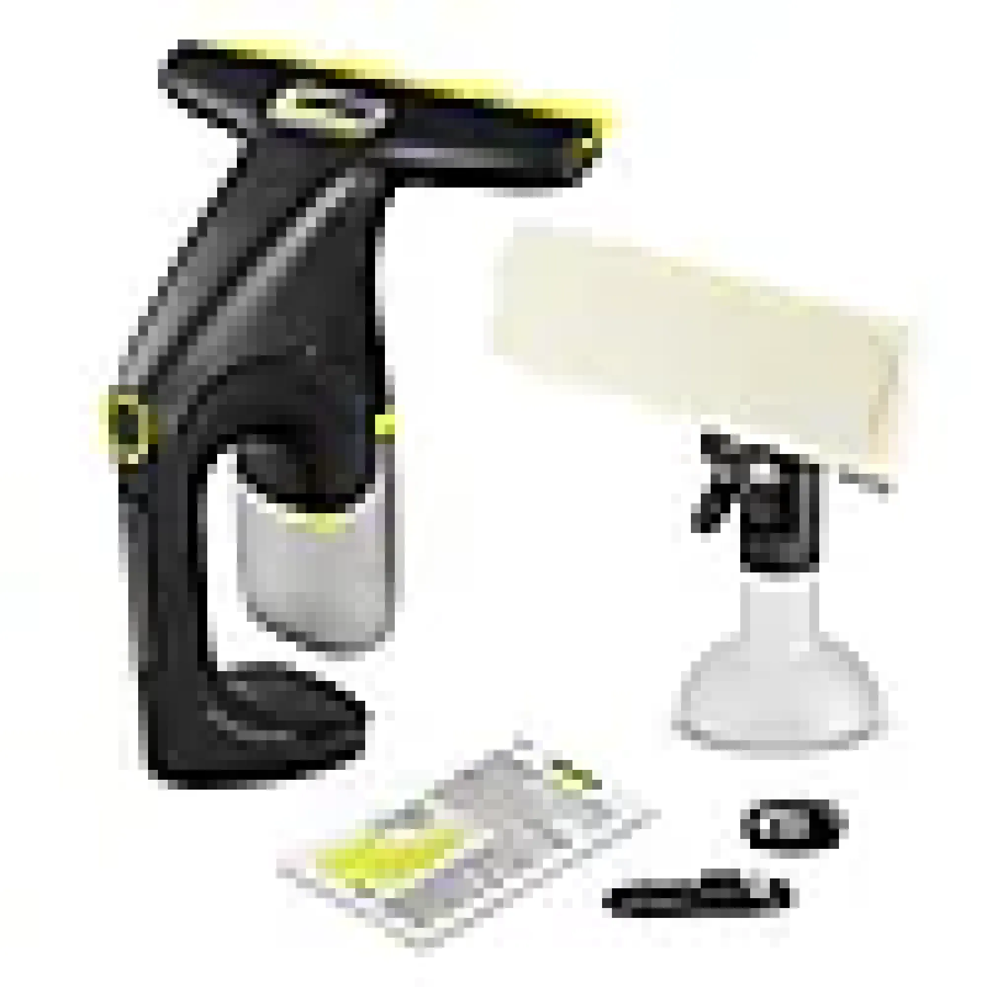 Vindusvasker WV 1 Compact Care-Kärcher Hot