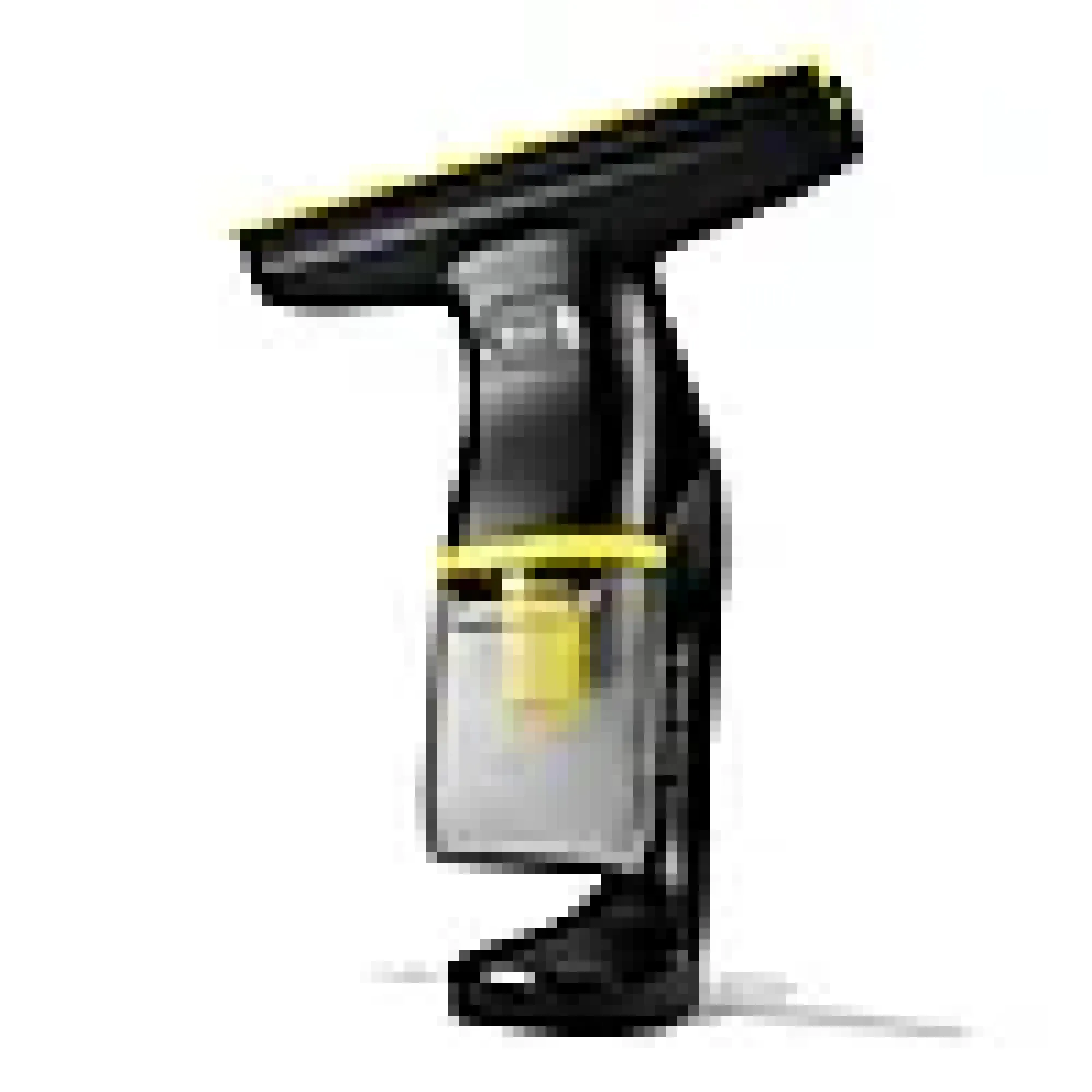 Vindusvasker WV 1 Compact Care-Kärcher Hot