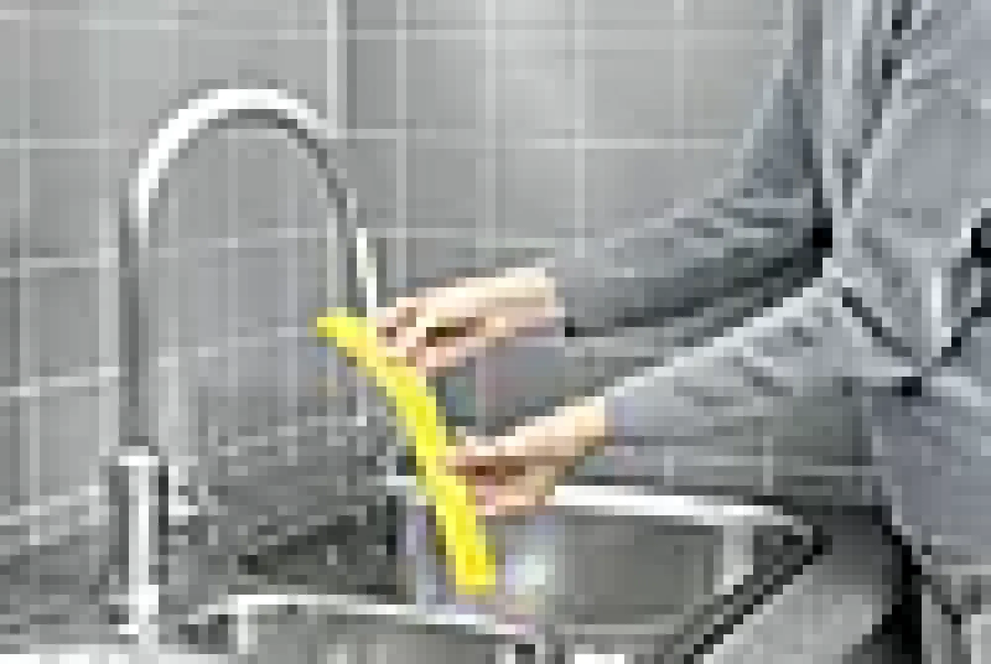 Vindusvasker WV 6 PLUS-Kärcher Best