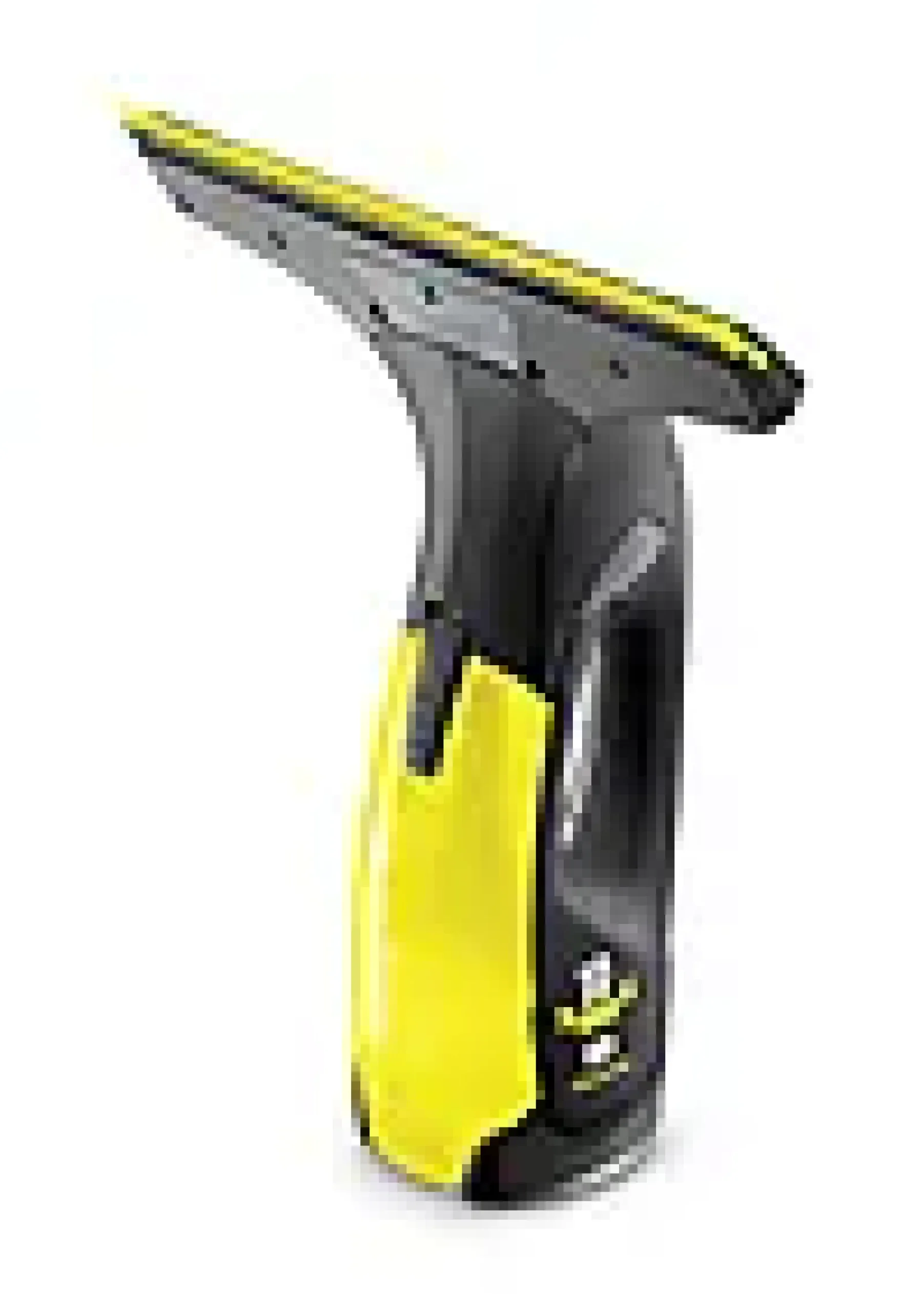 Vindusvasker WV 2 Plus sort edition-Kärcher Clearance
