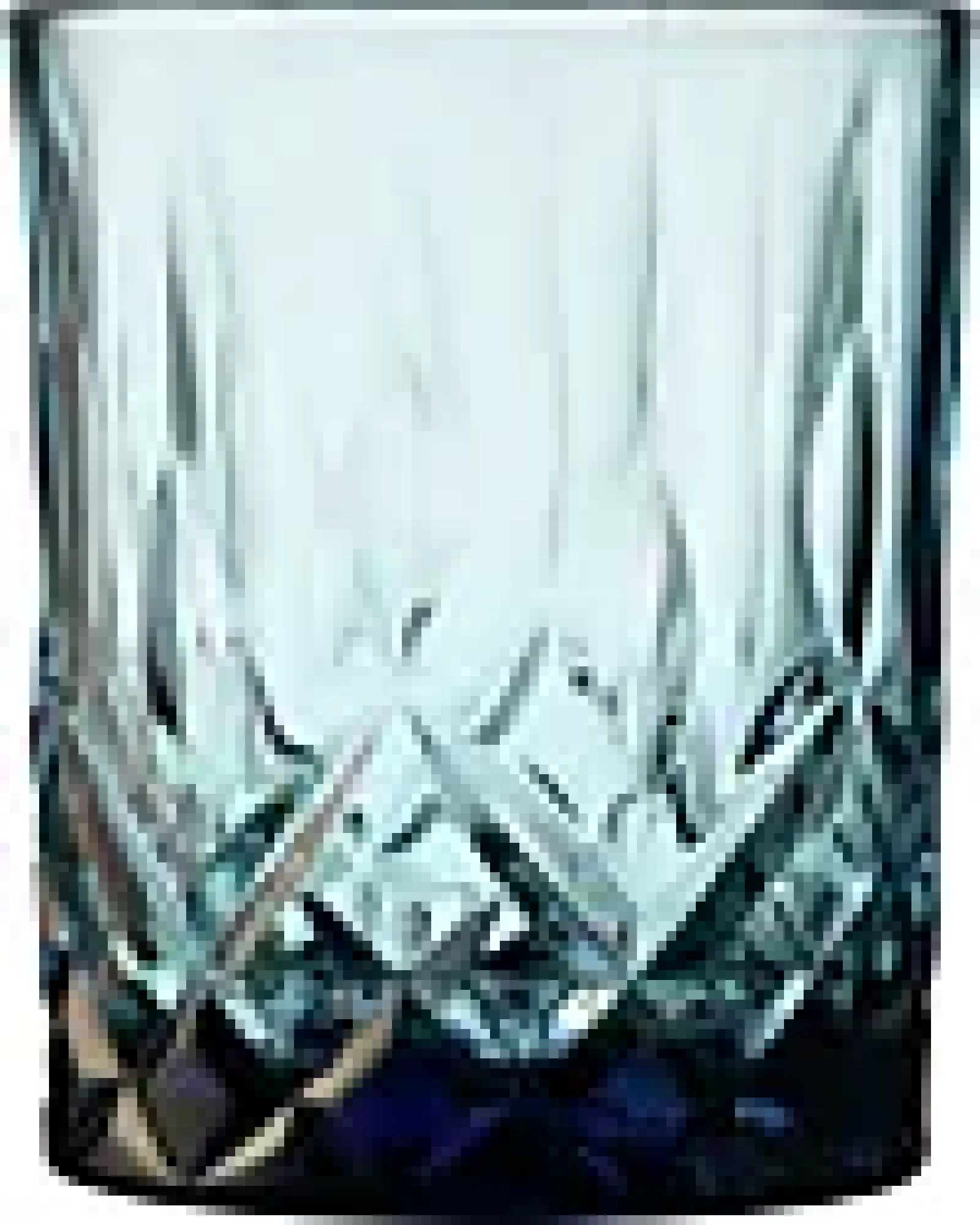 Whiskyglass Sorrento 32cl 4stk-Lyngby glas Best