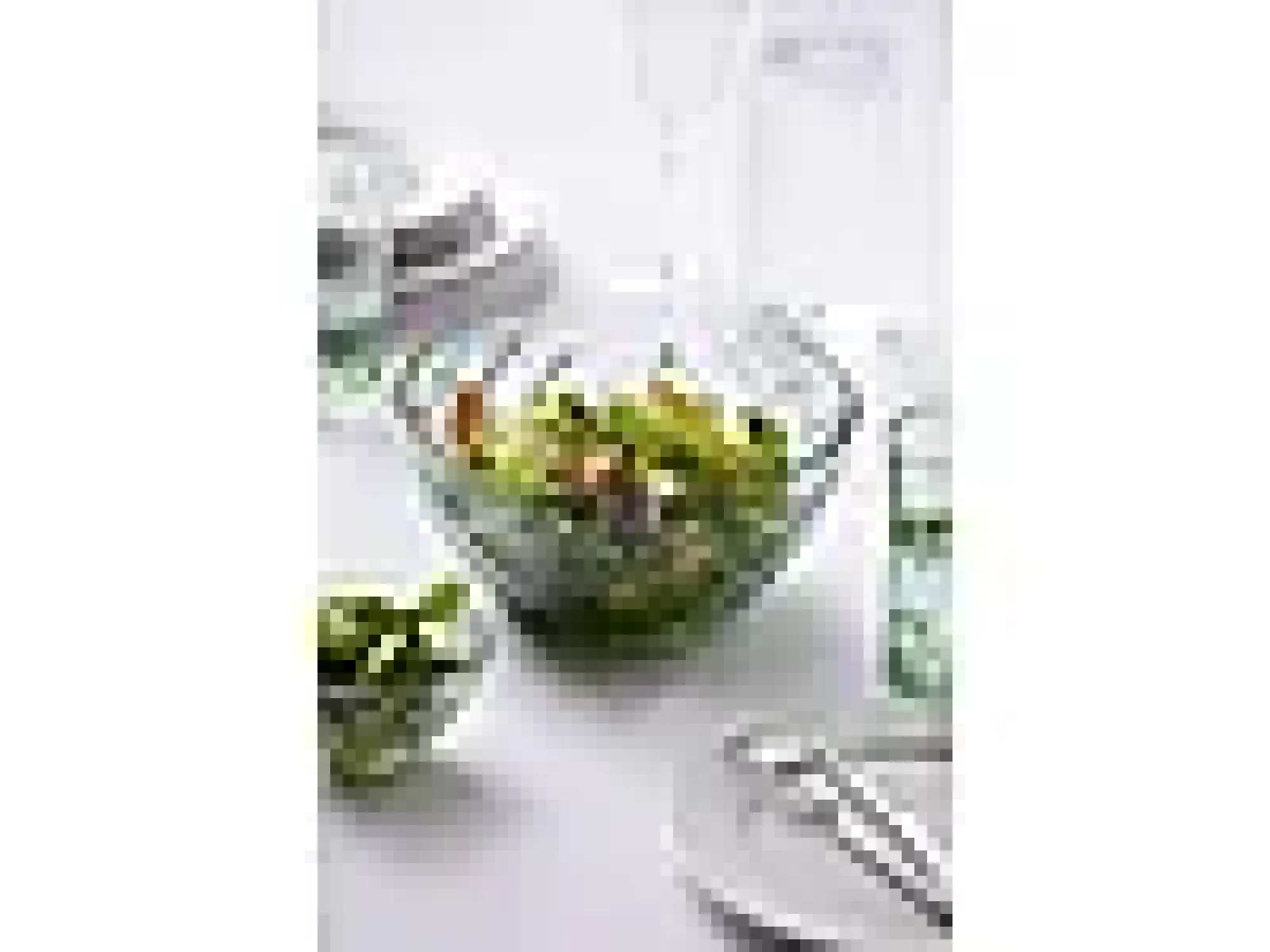 Whiskyglass Sorrento 32cl 4stk-Lyngby glas Best