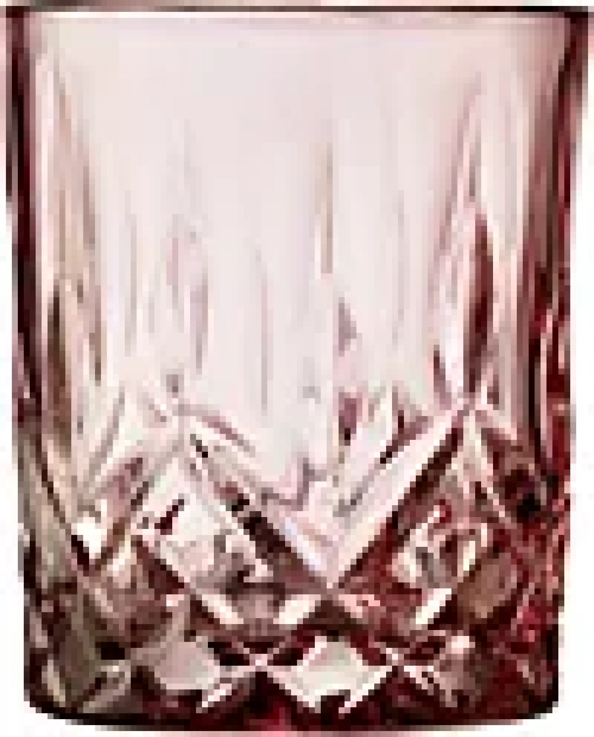 Whiskyglass Sorrento 32cl 4stk-Lyngby glas Best