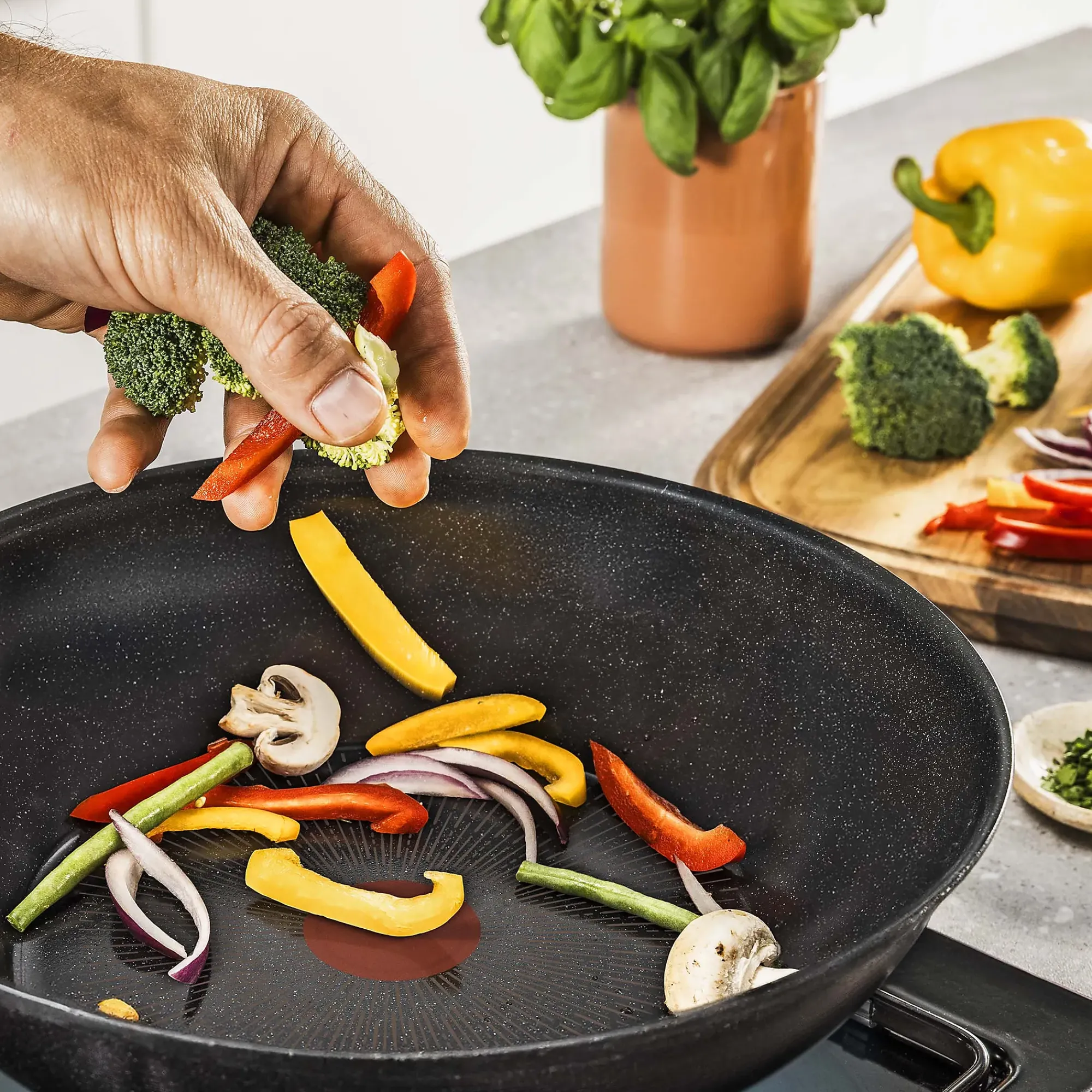Wokpanne Excellence 28cm-Tefal Outlet